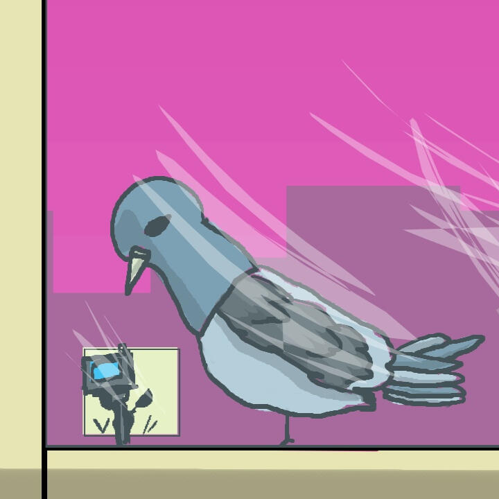 51