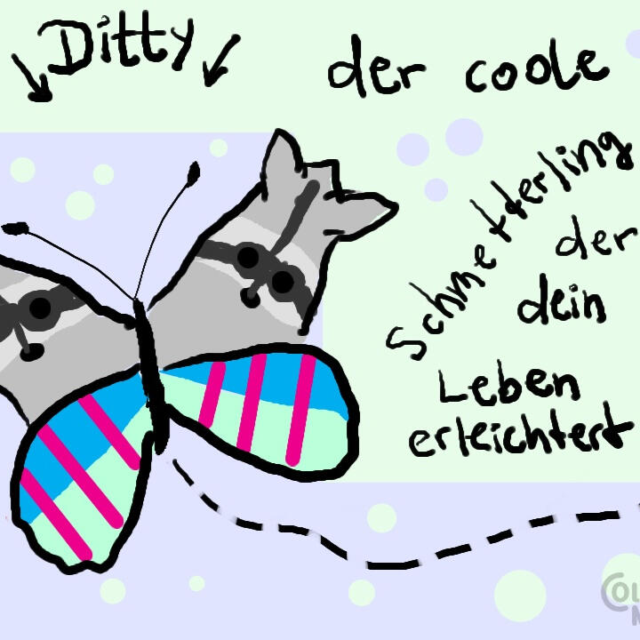 55